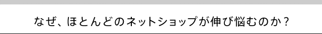 なぜ、ほとんどのネットショップが伸び悩むのか？